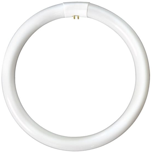 Bell Lighting 04196 40W T9 Triphosphor Circular Tube - 4 Pin, 4100K