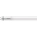 Philips 929002998802 LEDTUBE EM MAINS T8 1800MM (6FT) 21W 840