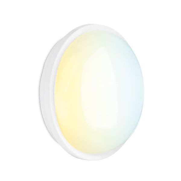 Aurora Lighting AU-BH120CS 20W CCT Round Bulkhead