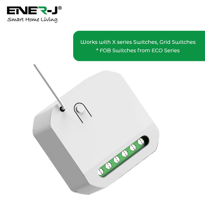 ENER-J WS1055M Non Dimmable 5A RF MAGIC Receiver