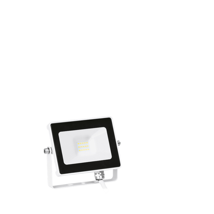 Aurora Lighting EN-FLH10W/30 10W Driverless LED Floodlight