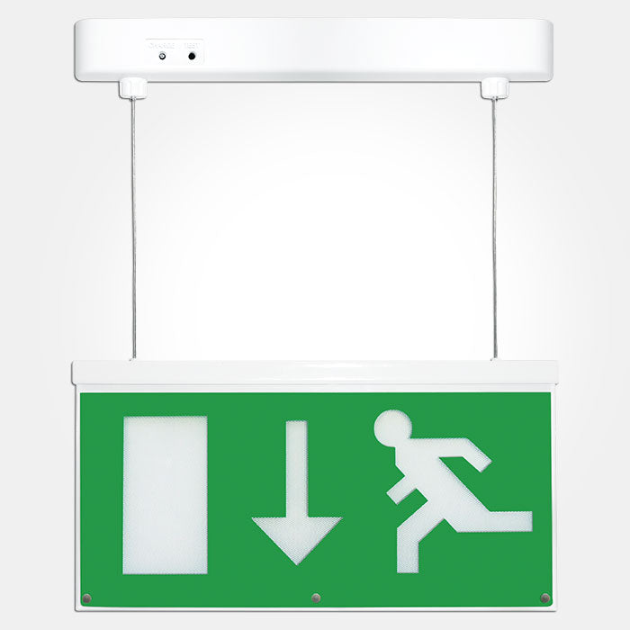 Eterna SIGNLEDEM3 LED Emergency Exit Sign Light with Signs Directive Down Arrow Legend